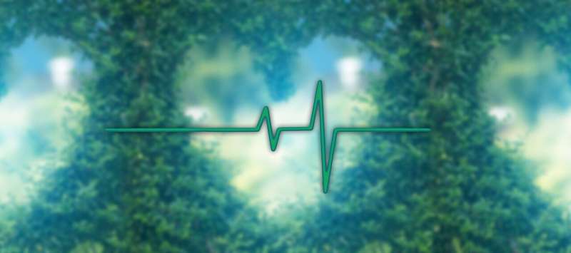 Una investigación descubre un vínculo entre el ritmo cardíaco nocturno y futuras afecciones de salud.