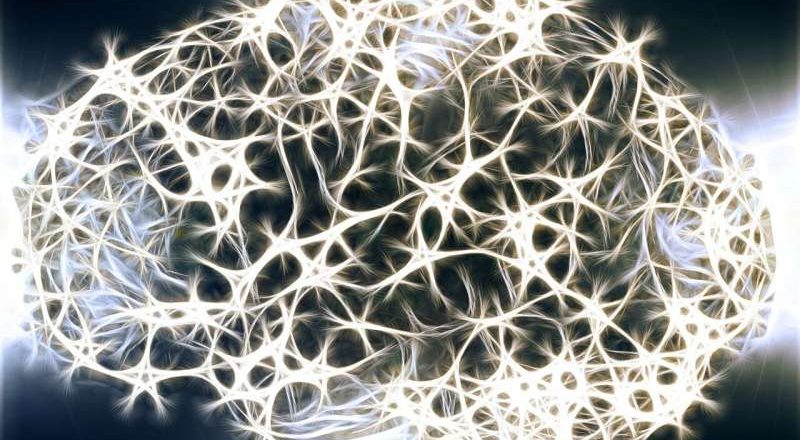 Una nueva investigación descubre que menos de 500 neuronas están asociadas con la supresión del consumo excesivo de alcohol
