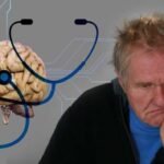 Un nuevo estudio mapea cuatro vías clave hacia la enfermedad de Alzheimer