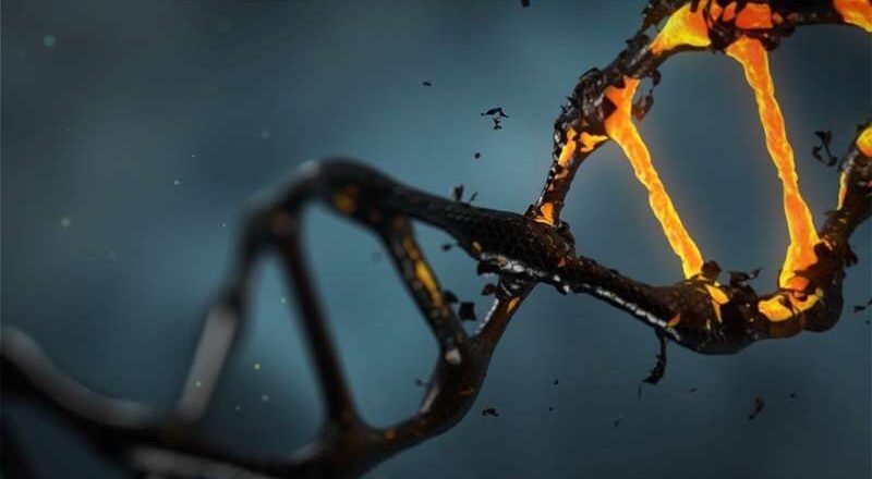 Un nuevo modelo permite el descubrimiento de fármacos para un trastorno que afecta a 40 personas en todo el mundo