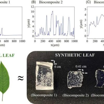 Las piedras microscópicas de las plantas pueden causar daños permanentes al esmalte dental.