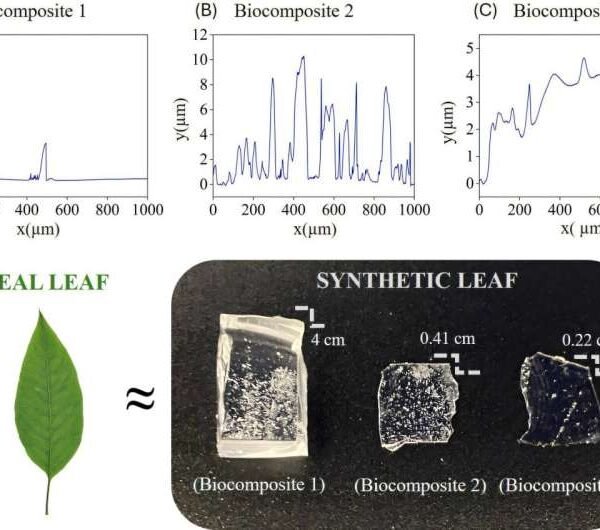 Las piedras microscópicas de las plantas pueden causar daños permanentes al esmalte dental.