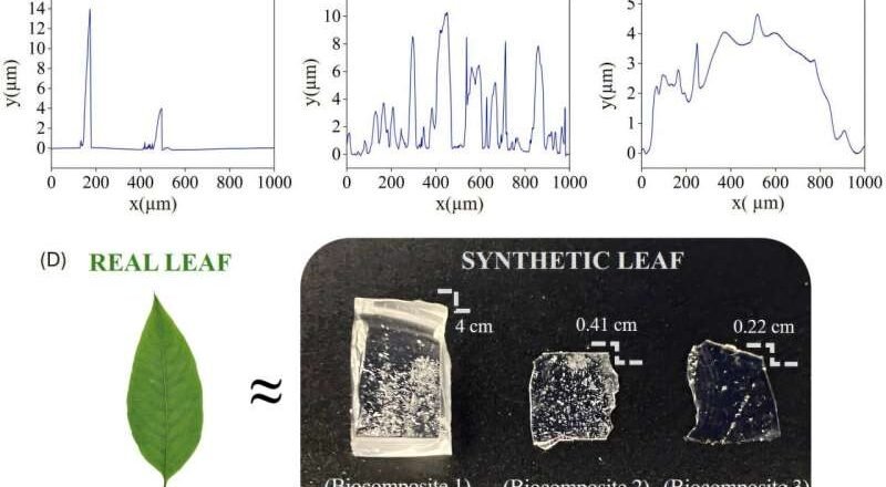 Las piedras microscópicas de las plantas pueden causar daños permanentes al esmalte dental.