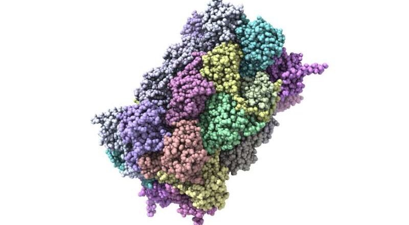 Más proteínas mal plegadas de lo que se sabía anteriormente podrían contribuir al Alzheimer y la demencia