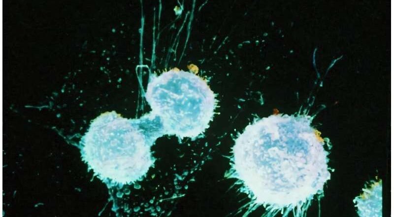 Un enfoque de medicina de precisión identifica un tratamiento prometedor para el cáncer de ovario