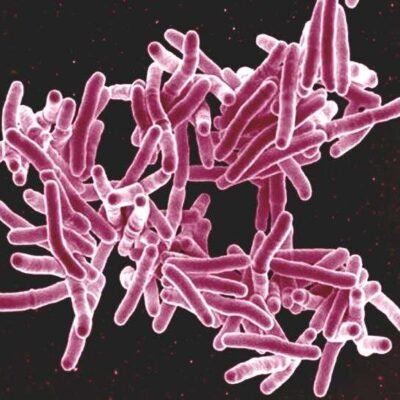Los ensayos clínicos revelan alternativas prometedoras a un fármaco contra la tuberculosis de alta toxicidad