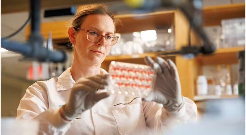 ¿Una droga para el ejercicio? Aprovechar los beneficios cognitivos del ejercicio para pacientes con Alzheimer y problemas de movilidad.