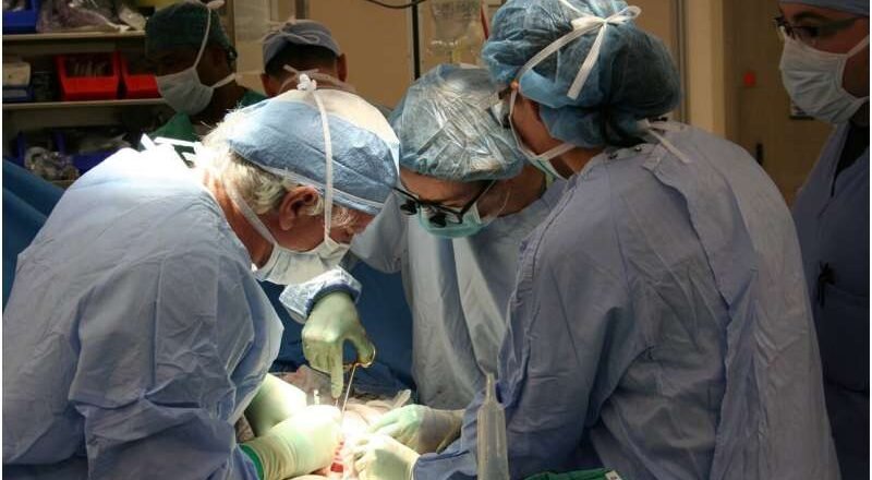 Un nuevo enfoque para la compatibilidad de trasplantes de riñón podría conducir a mejores resultados a largo plazo