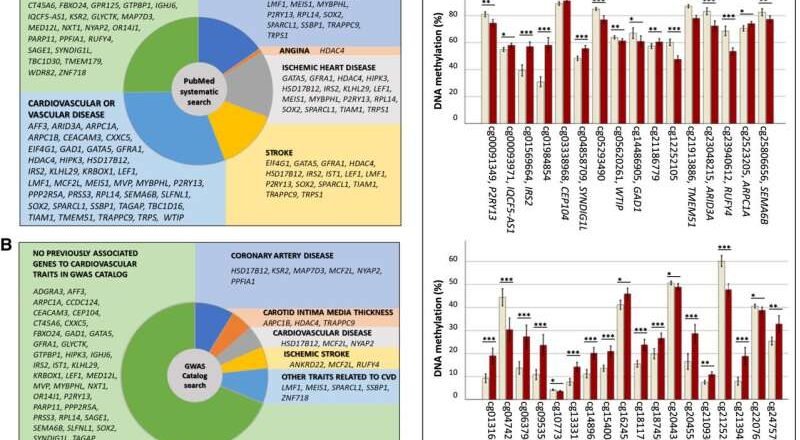 Los biomarcadores revelan el riesgo de enfermedad cardiovascular en la diabetes tipo 2