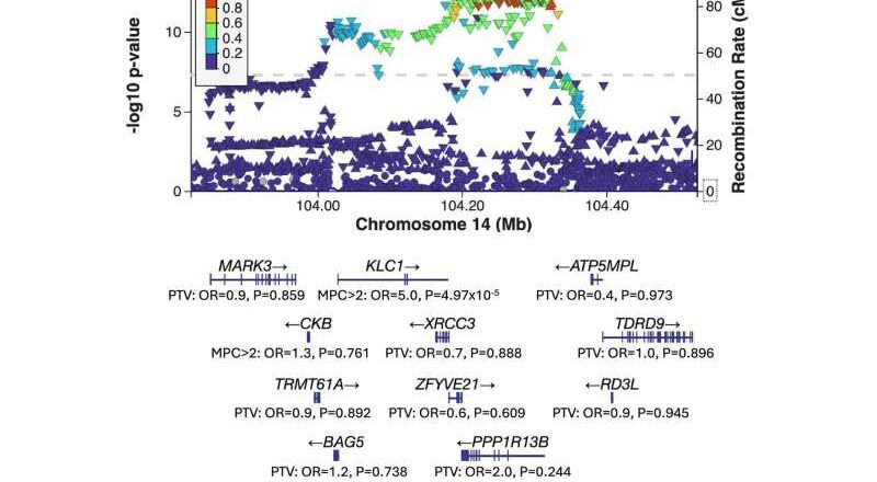 Científicos descubren ocho nuevos genes de la esquizofrenia