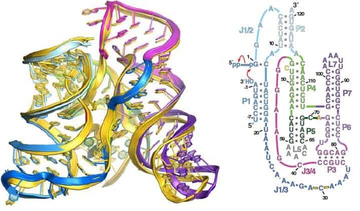 Terapias basadas en RNA: un nuevo arsenal contra la hipercolesterolemia y la lipoproteína(a) ❤️🧬💉