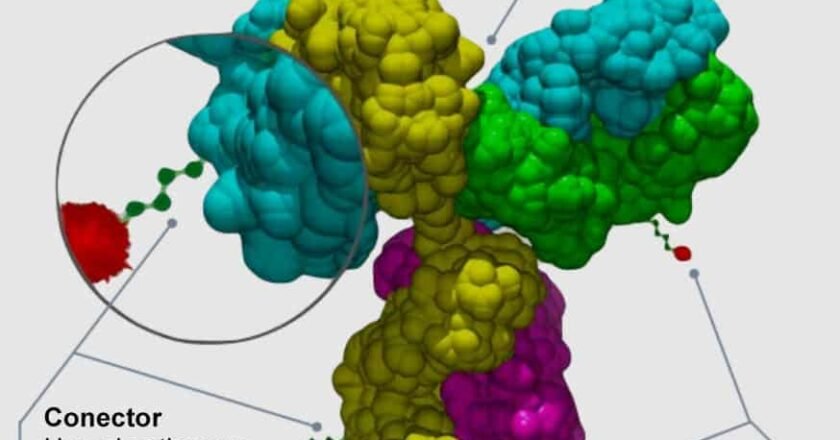Anticuerpos biespecíficos: nueva estrategia contra el cáncer de pulmón resistente a osimertinib 🫁🧬💉