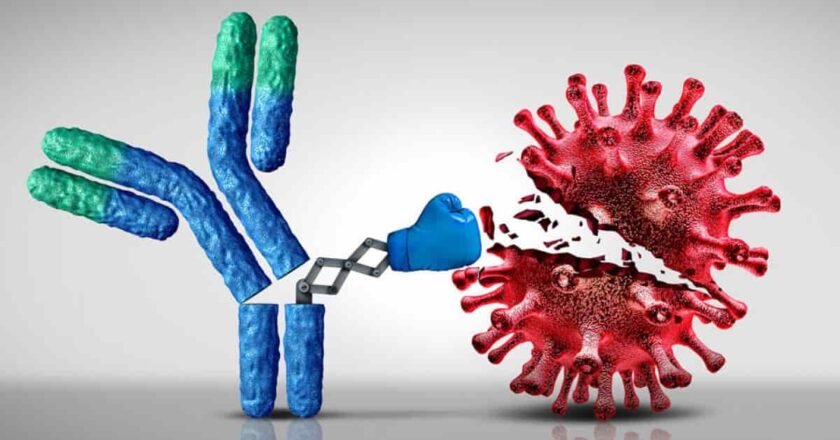 HPN: cómo los anticuerpos anti-complemento están transformando la supervivencia 🩸🛡️🧬