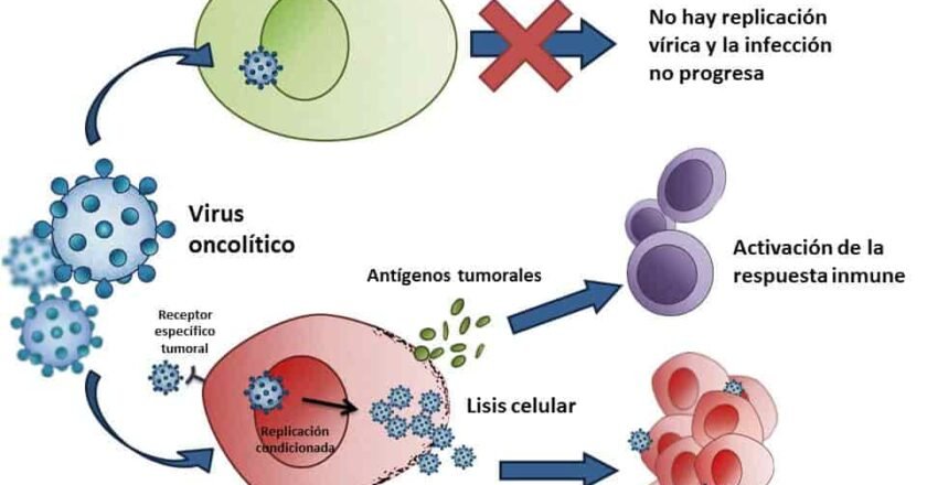Nanomedicina contra el cáncer: cómo las nanopartículas están cambiando la terapia oncológica