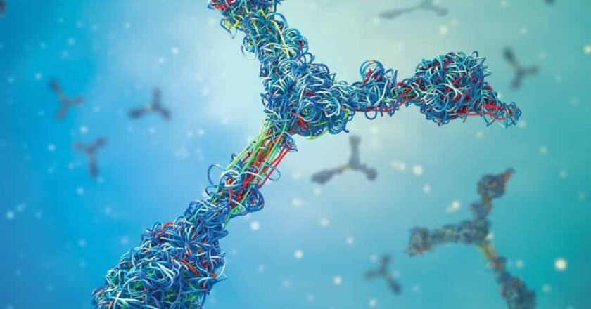 Nuevas fronteras en oncología: terapias génicas, nanomedicina y medicina personalizada
