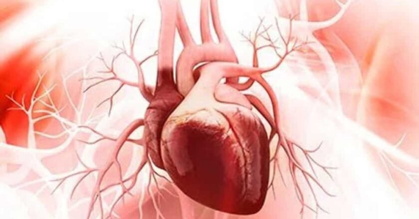 La enfermedad cardíaca sigue siendo la principal causa de muerte en el mundo