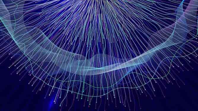 La geometría oculta en el cerebro: así construimos mapas mentales para orientarnos en el mundo