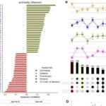 Un estudio sobre nutrición con inteligencia artificial revela que comer cinco al día puede mantener al médico alejado