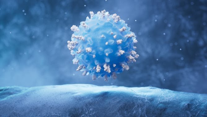 El hallazgo de un mecanismo que protege contra las enfermedades autoinmunes, Nobel de Medicina 2025