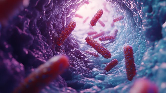 Un estudio de la microbiota de tres generaciones confirma cuánto cambia y cómo afecta a la salud