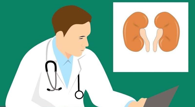 Tratamiento conservador frente a diálisis: Un modelo muestra cuál es mejor para cada paciente con enfermedad renal crónica avanzada.