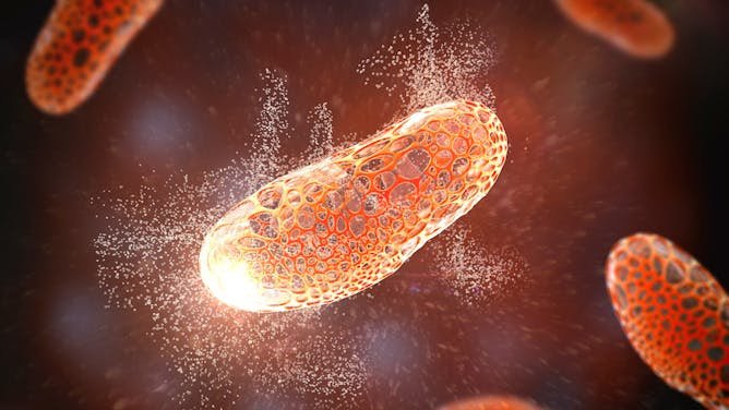 Una diminuta molécula podría acabar con las bacterias inmunes a los antibióticos