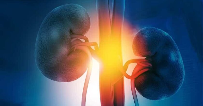 Alerta en América Latina por el avance silencioso de la enfermedad renal