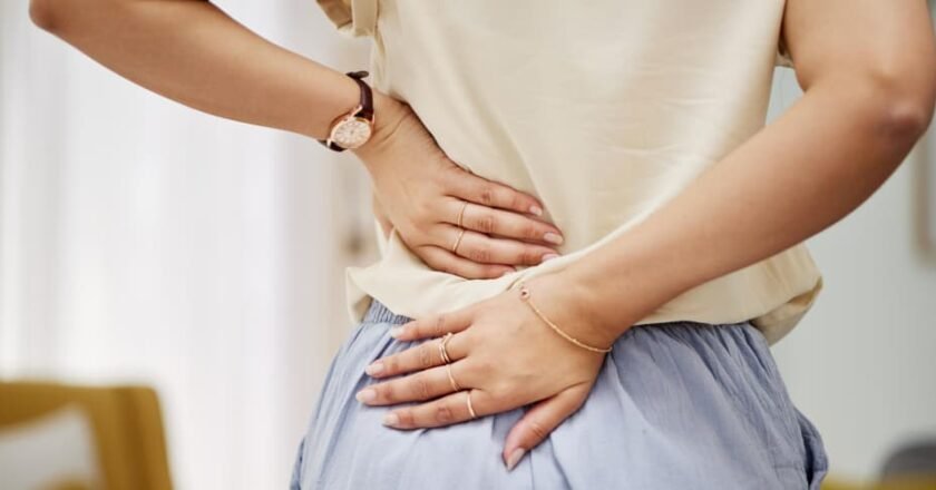 Regenerar los discos intervertebrales: un avance portugués que podría cambiar el tratamiento de la lumbalgia