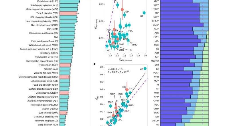 ADN y ambiente: la secuenciación genómica revela cuánto influyen realmente los genes en nuestra salud