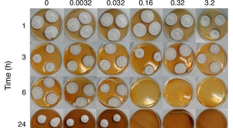 Según los científicos, el gas con olor a huevo podrido podría ser la solución para tratar las infecciones de las uñas.