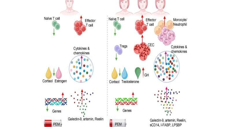 Las mujeres tienen tres veces más probabilidades que los hombres de desarrollar COVID persistente grave: He aquí el porqué.