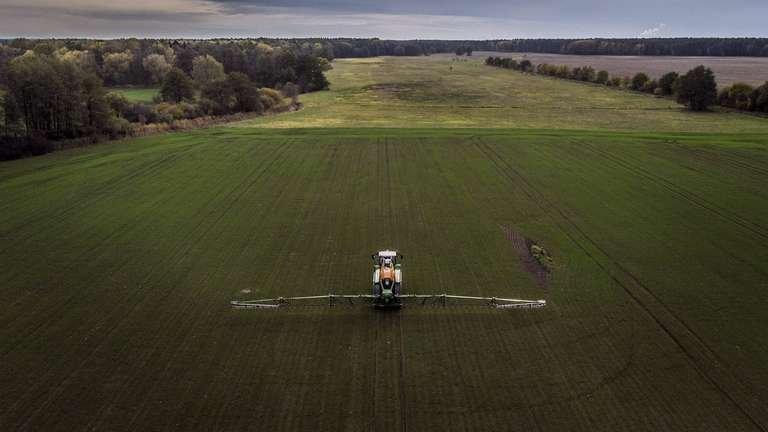 Más de 160 sustancias químicas cotidianas alteran el equilibrio del microbioma intestinal