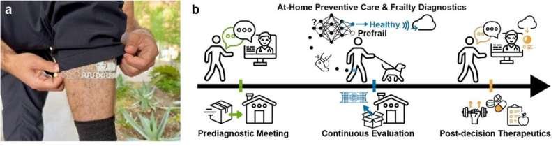 Un dispositivo portátil con inteligencia artificial mejora la atención preventiva para personas mayores