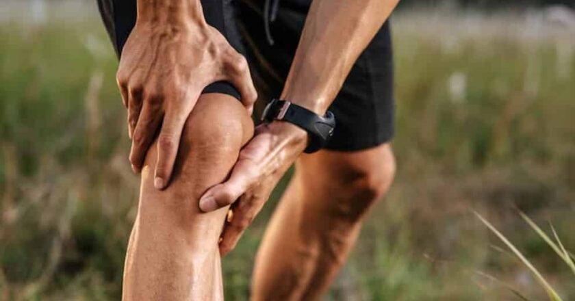 Un avance prometedor contra la artrosis: científicos logran revertir el daño del cartílago en modelos animales