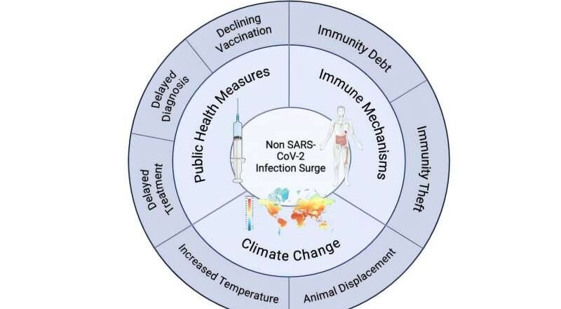 Infecciones ocultas podrían estar detrás de los síntomas persistentes de la covid prolongada, según nuevos hallazgos científicos