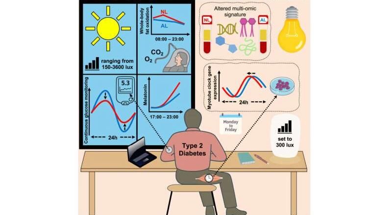 Cómo la luz natural puede ayudar a las personas con diabetes a mejorar sus niveles de azúcar en sangre