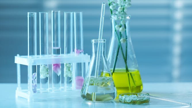 El poder invisible del olor: ciencia y futuro de las fragancias