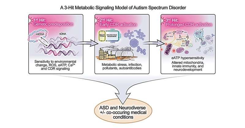 El ‘modelo de tres impactos’ que involucra genes y ambiente describe las posibles causas del autismo