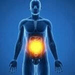 La vitamina vinculada con la regulación del tránsito intestinal y otros beneficios para la salud