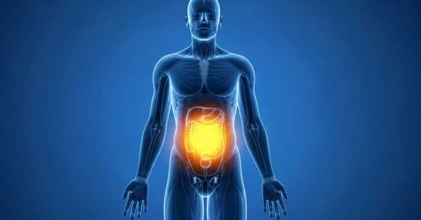 La vitamina vinculada con la regulación del tránsito intestinal y otros beneficios para la salud
