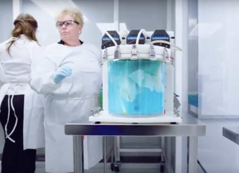 Screen-Shot-2018-08-06-at-5.14.30-PM