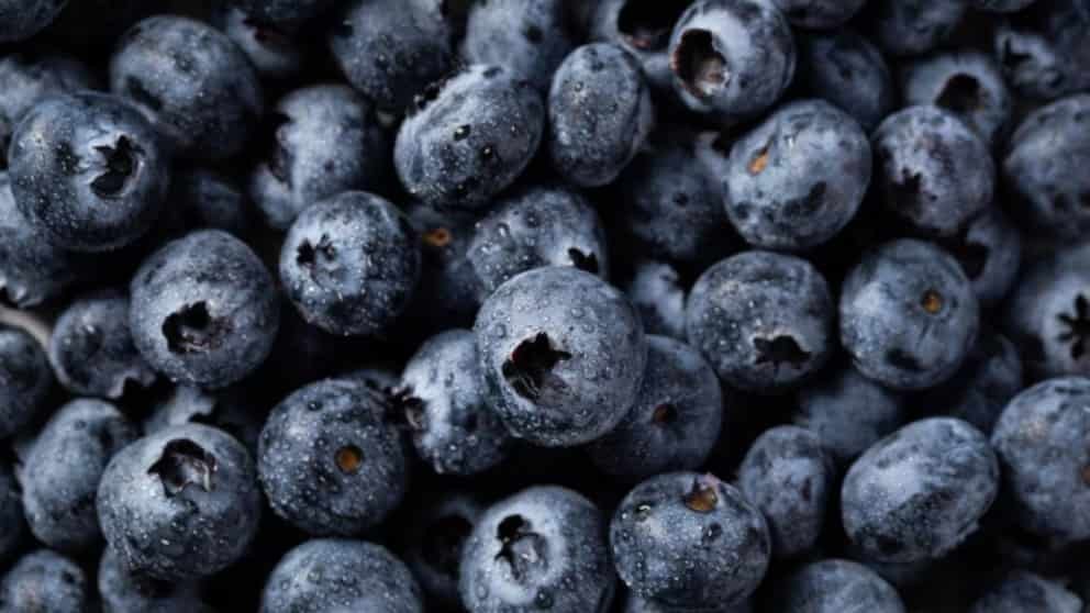 Arándanos: la fruta que puede cuidar el cerebro y el corazón