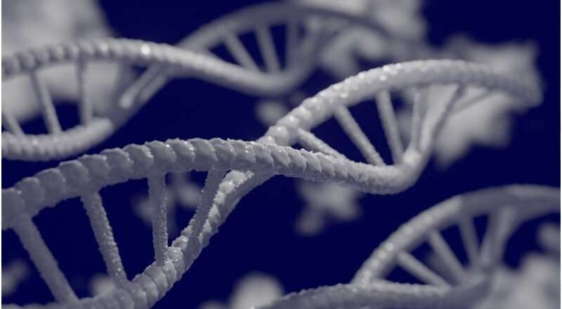 La mayoría de los casos de Alzheimer están relacionados con variantes en un solo gen