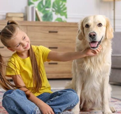 ¿Contribuye tener mascota al bienestar emocional en la infancia?