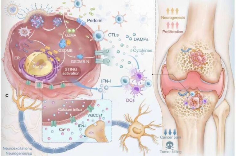 new-nanotherapy-eases