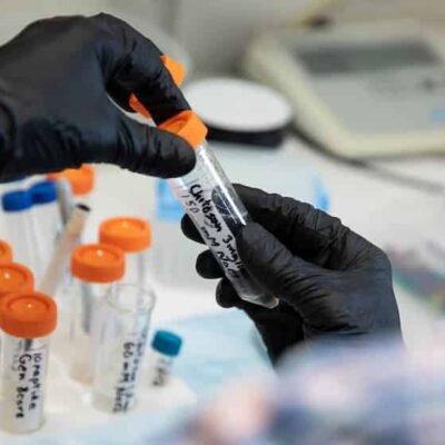 China y la exportación de medicamentos ilegales que prometen adelgazar: una tendencia que preocupa a la salud global