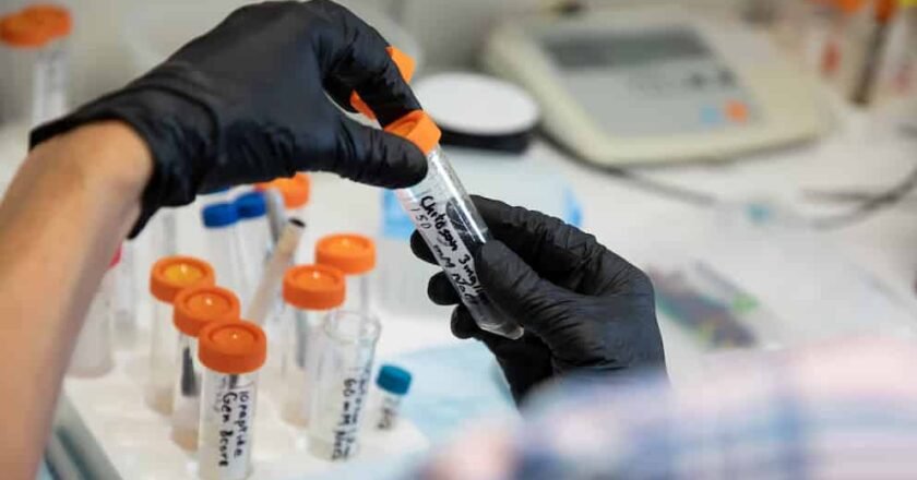 China y la exportación de medicamentos ilegales que prometen adelgazar: una tendencia que preocupa a la salud global