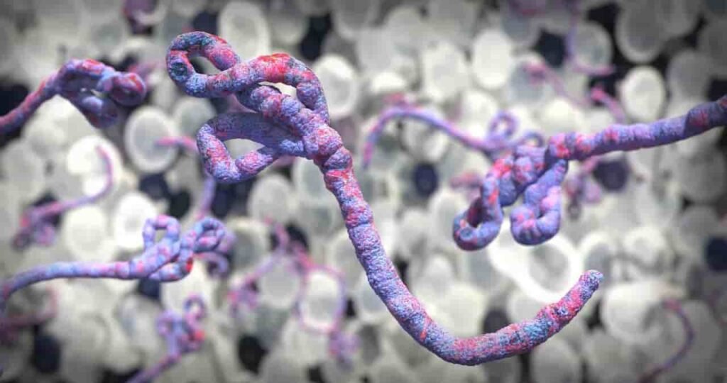 Vacuna amplia contra el ébola gana urgencia en África Central