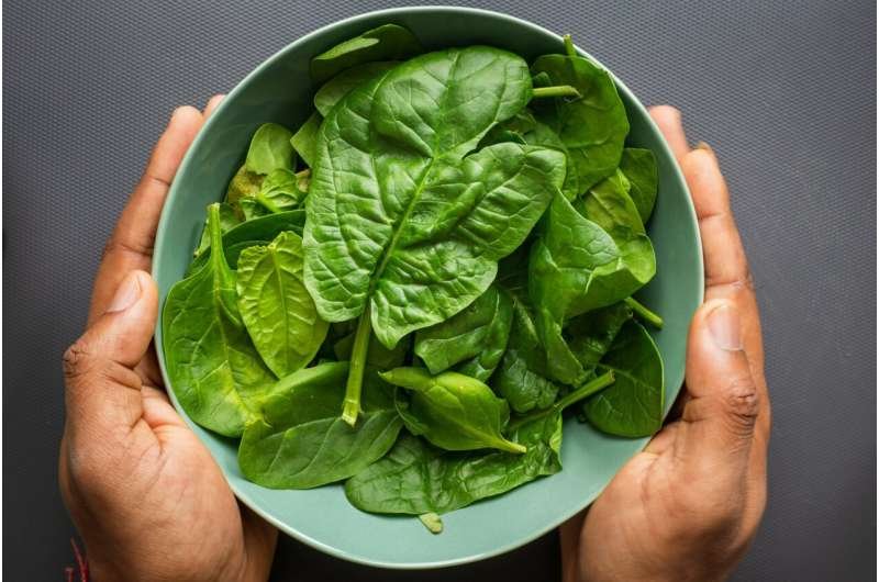 Mascar chicle con azúcar tras comer verduras ricas en nitrato podría bajar la presión arterial