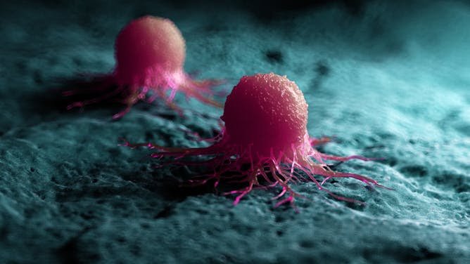Cómo el cáncer aprende a sobrevivir sin oxígeno